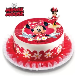 Σχέδιο τούρτας minnie mouse σετ 20cm