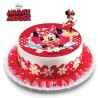 Σχέδιο τούρτας minnie mouse σετ 20cm