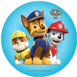 Σχέδιο τούρτας paw patrol 20cm