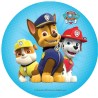 Σχέδιο τούρτας paw patrol 20cm