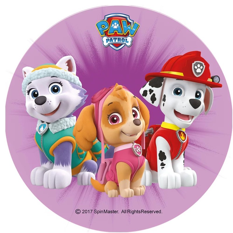 Σχέδιο τούρτας paw patrol 20cm