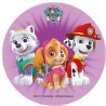 Σχέδιο τούρτας paw patrol 20cm