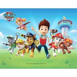 Σχέδιο τούρτας paw patrol 20x30cm