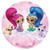 Σχέδιο τούρτας shimmer and shine 20cm